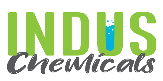 INDUS Accounts
